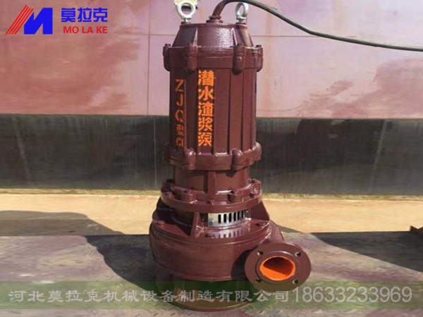 ZJQ潜水渣浆泵 (1)